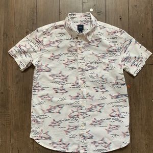 Boys short sleeve button down collared shirt